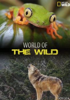 Nat Geo Wild: Мир дикой природы все выпуски (2016) Смотреть онлайн
