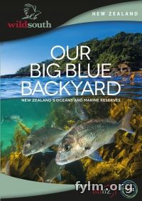 Океан на заднем дворе/Our Big Blue Backyard (2017) смотреть сериал онлайн