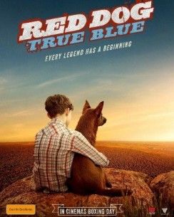 Рыжий: Вся правда / Red Dog: True Blue (2016) Смотреть фильм онлайн