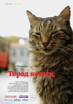 Город кошек / Kedi (2017) Фильм Смотреть Онлайн
